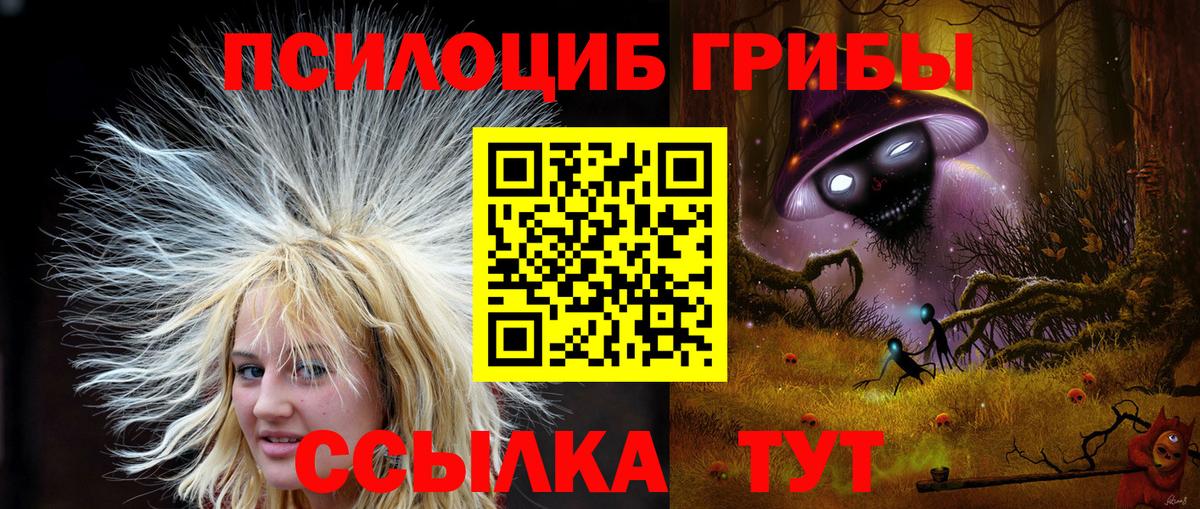 Галлюциногенные грибы Psilocybe  Вход с VPN  Славянск-на-Кубани 