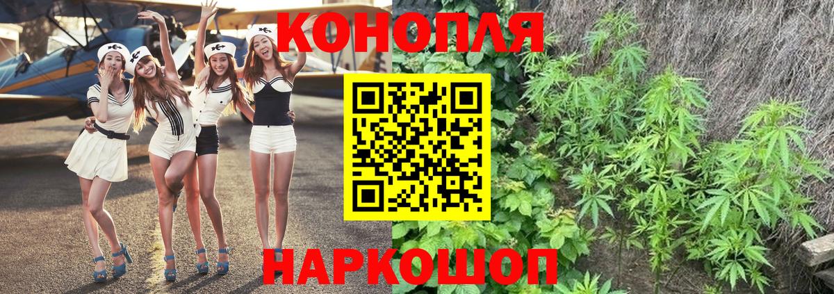Шишки марихуана White Widow  Марихуана семена  Славянск-на-Кубани  Вход с VPN 
